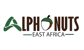 Premium nuts and dry fruits collection